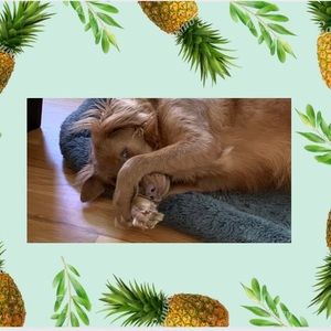 Thanks for stopping by my closet!!!!